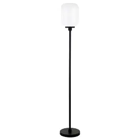 69 Black Novelty Floor Lamp With White Frosted Glass Globe Shade