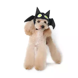 Bat Dog Hat