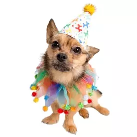 Celebration/Birthday Hat & Collar Set for Dogs