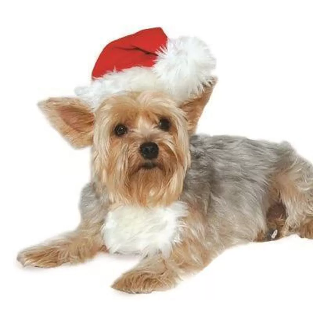 Cute Santa Dog Hat