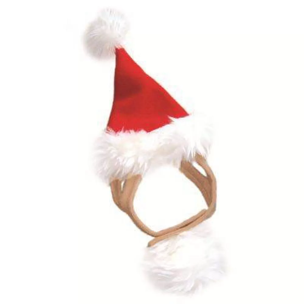 Cute Santa Dog Hat