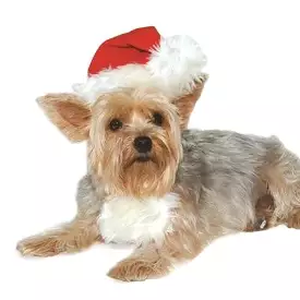 Cute Santa Dog Hat