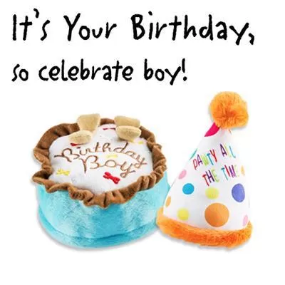 Dog Birthday Cake and Hat Plush Toys