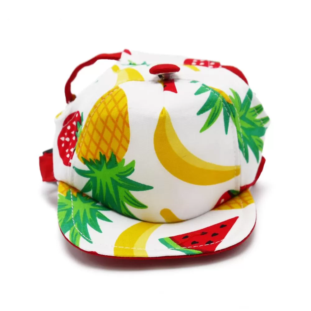 Fruitlicious Dog Hat