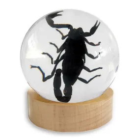 Globe-Black Scorpion