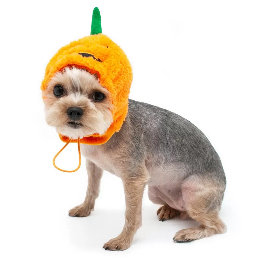 Jack-O Dog Hat