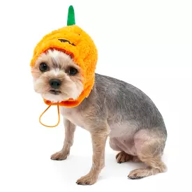 Jack-O Dog Hat