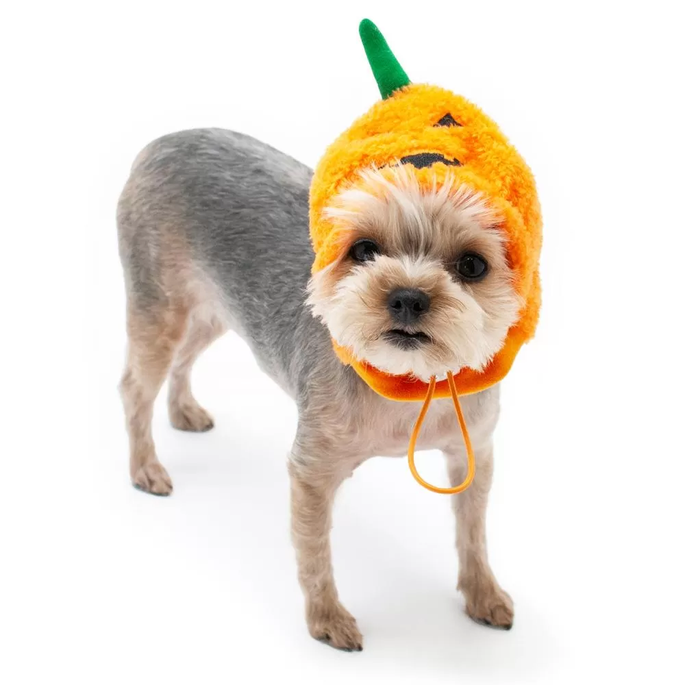 Jack-O Dog Hat