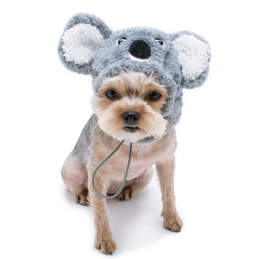 Koala Dog Hat