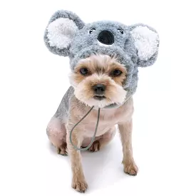 Koala Dog Hat