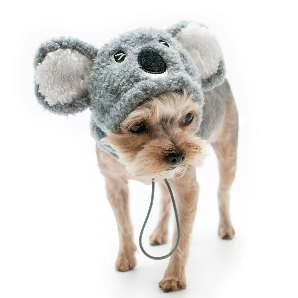 Koala Dog Hat