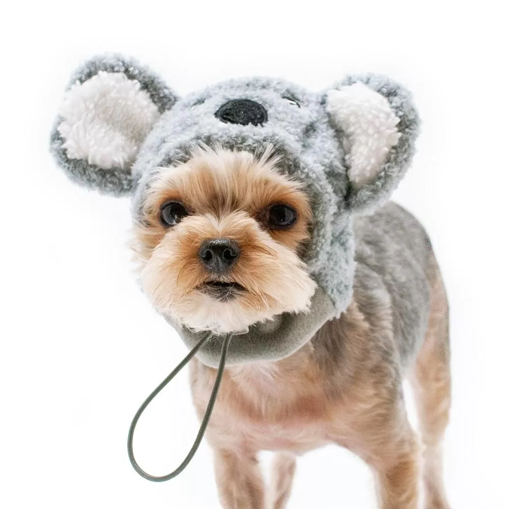 Koala Dog Hat