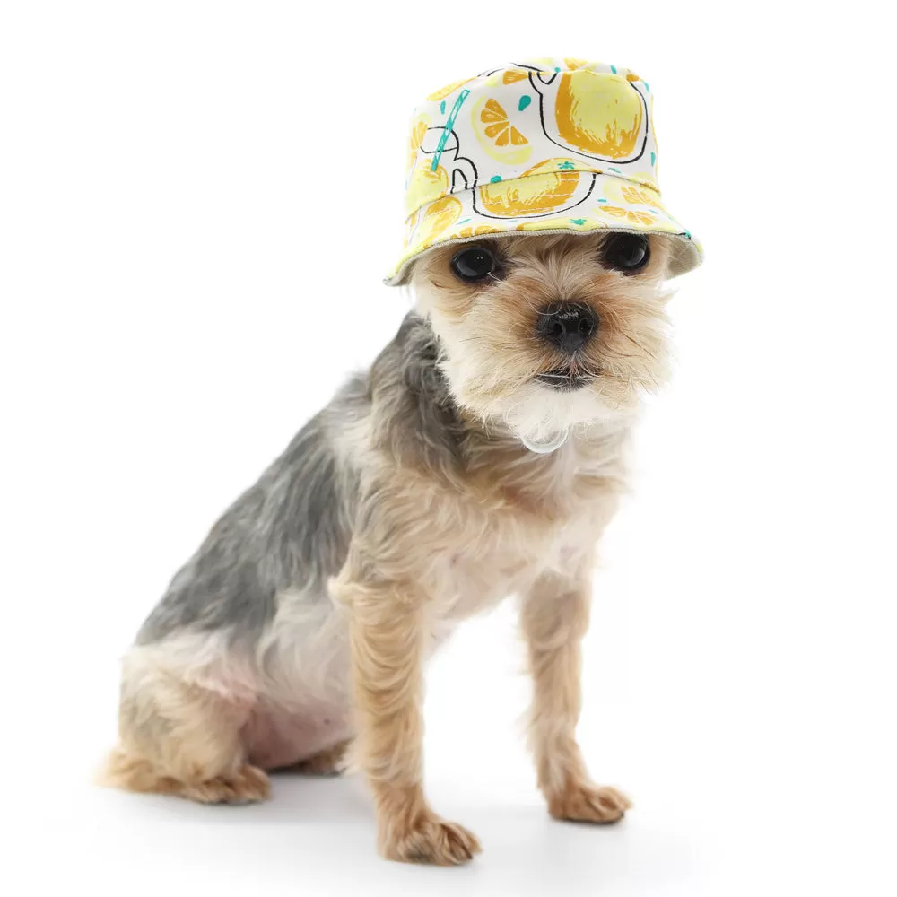 Lemonade Bucket Dog Hat