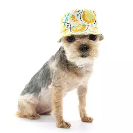 Lemonade Bucket Dog Hat