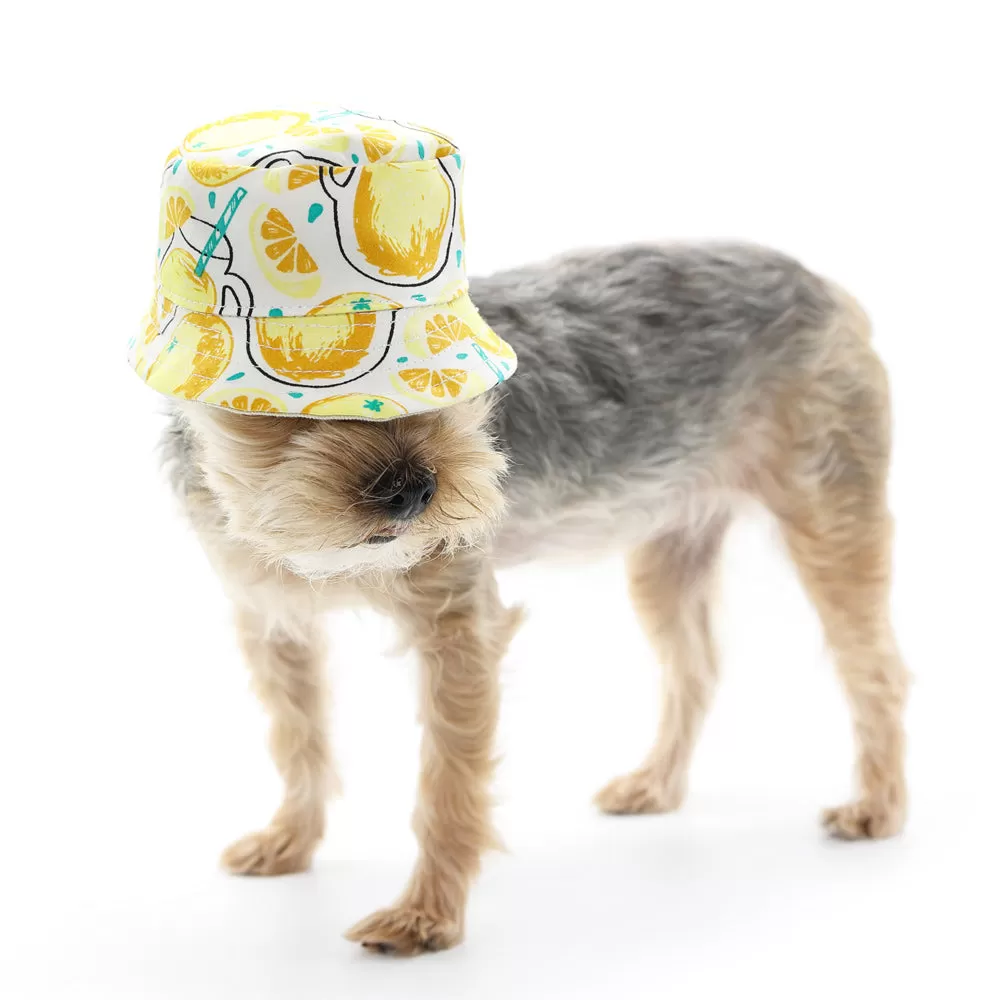 Lemonade Bucket Dog Hat