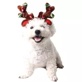 Light Up Reindeer Antlers Dog Hat