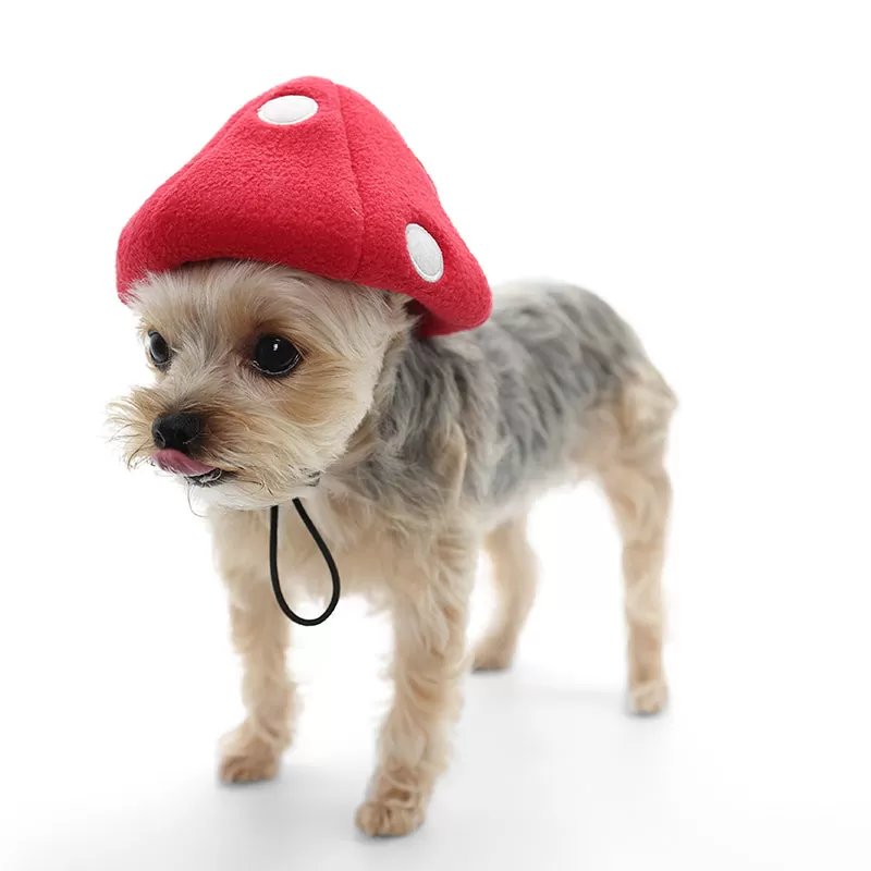 Mushroom Dog Hat