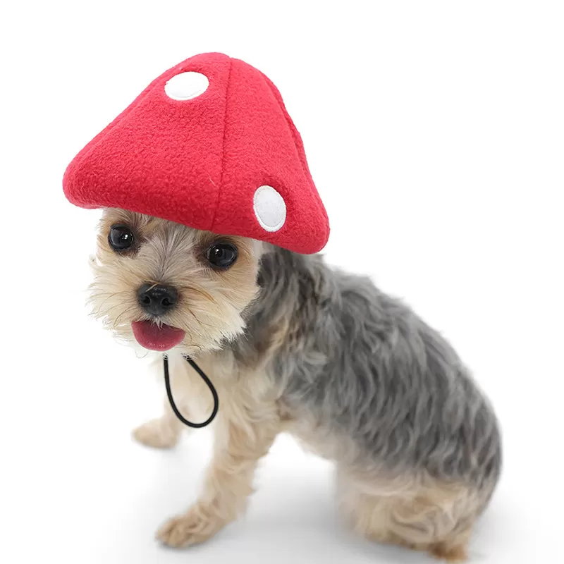 Mushroom Dog Hat