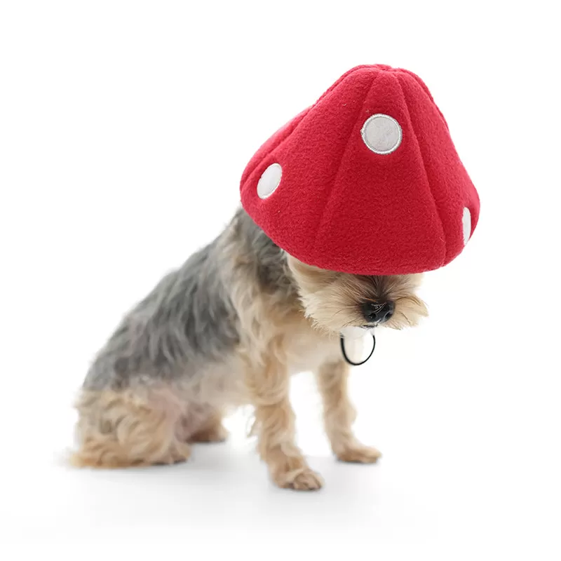 Mushroom Dog Hat