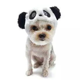 Panda Dog Hat