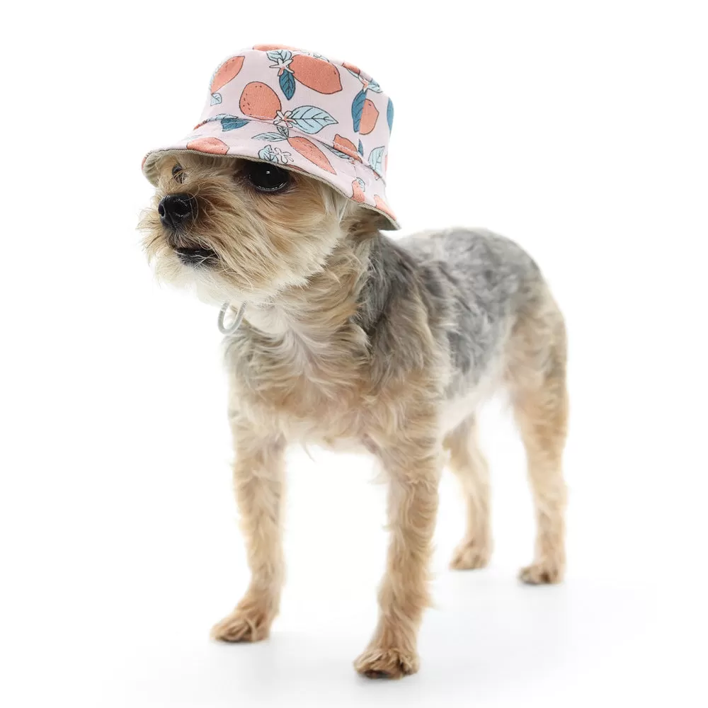 Pink Lemon Bucket Dog Hat