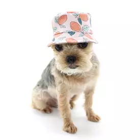 Pink Lemon Bucket Dog Hat