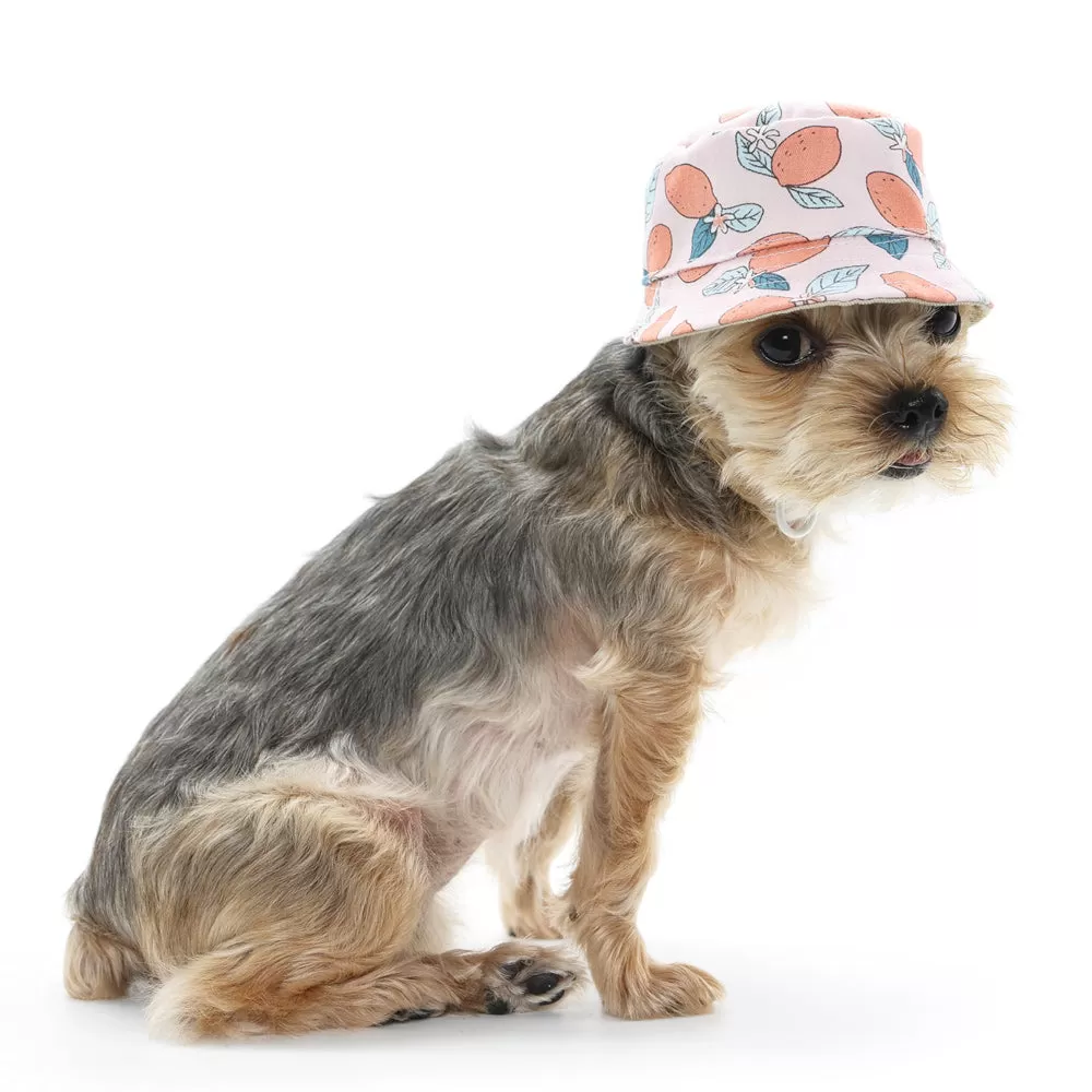 Pink Lemon Bucket Dog Hat