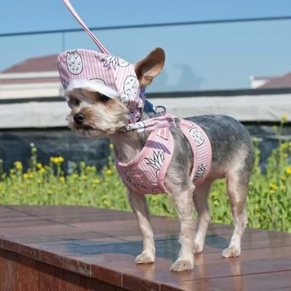 Pink Pineapple Dog Hat