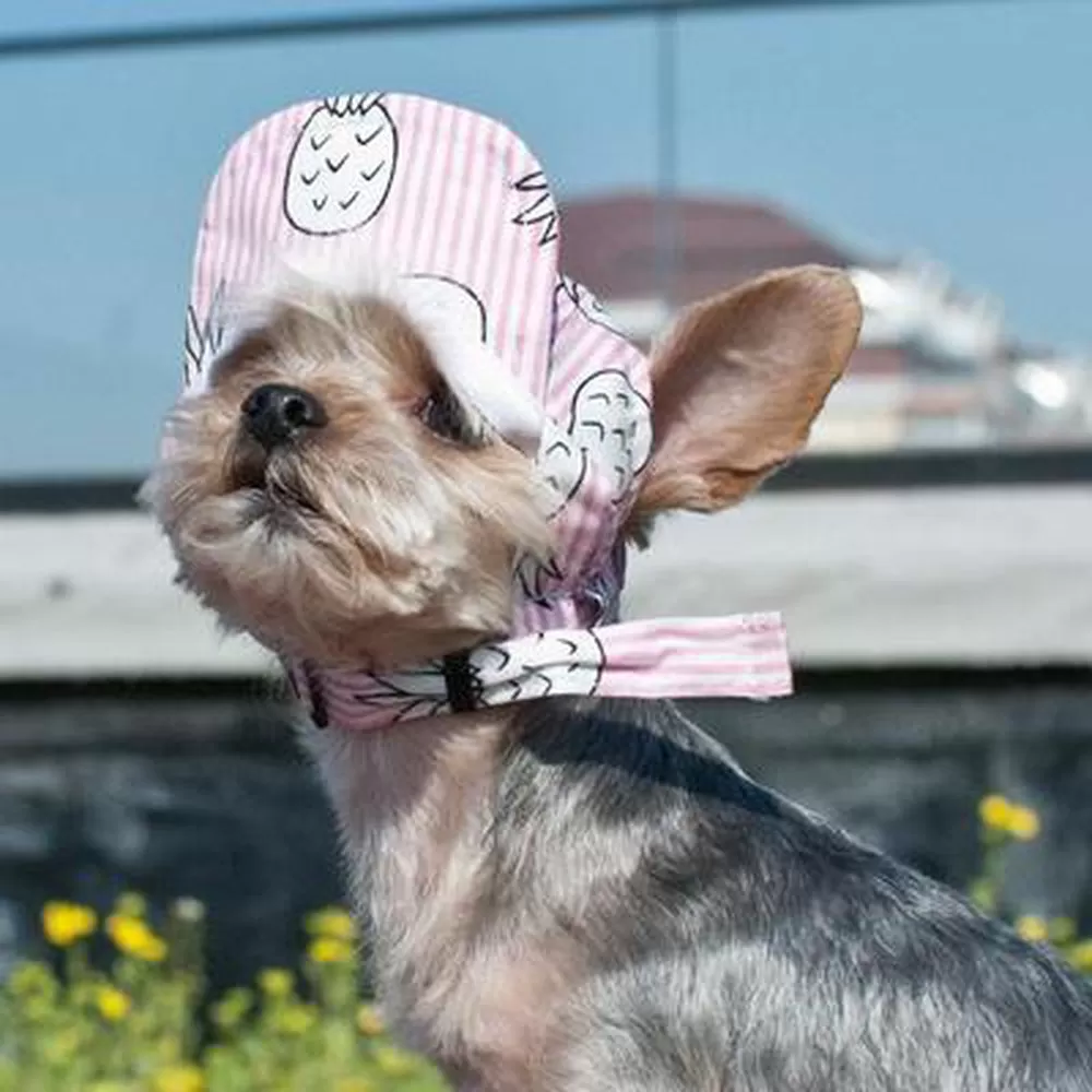 Pink Pineapple Dog Hat