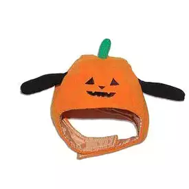 Pumpkin Dog Hat