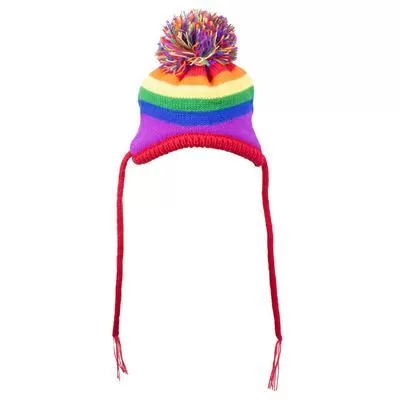 Rainbow Dog Wool Beanie Hat