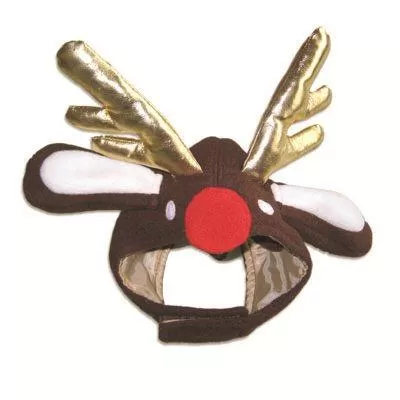 Rudolph Reindeer Dog Hat