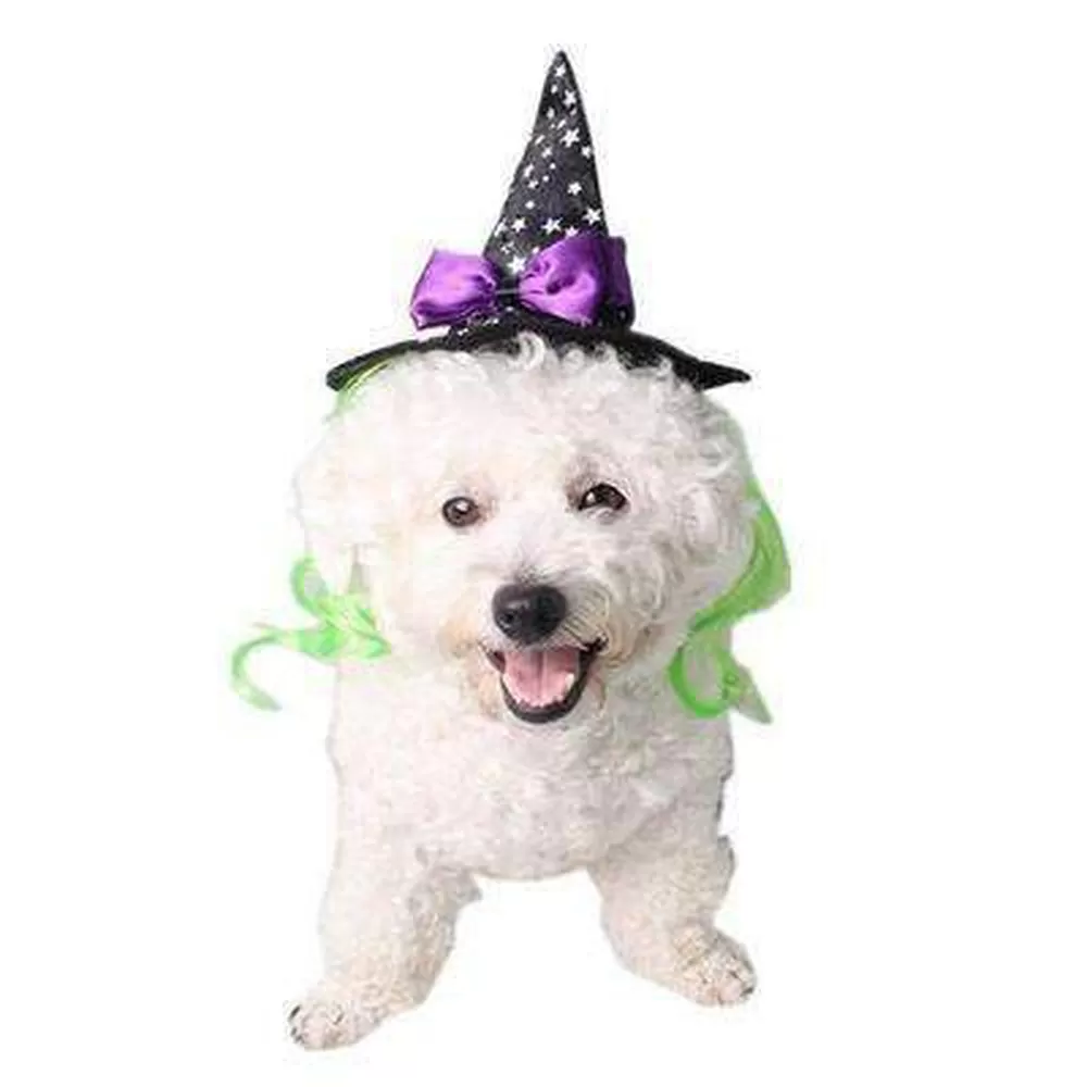 Star Witch Dog Hat