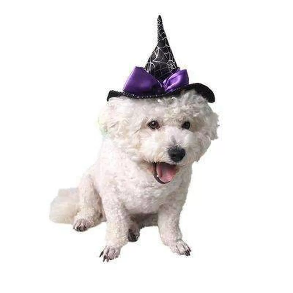 Star Witch Dog Hat