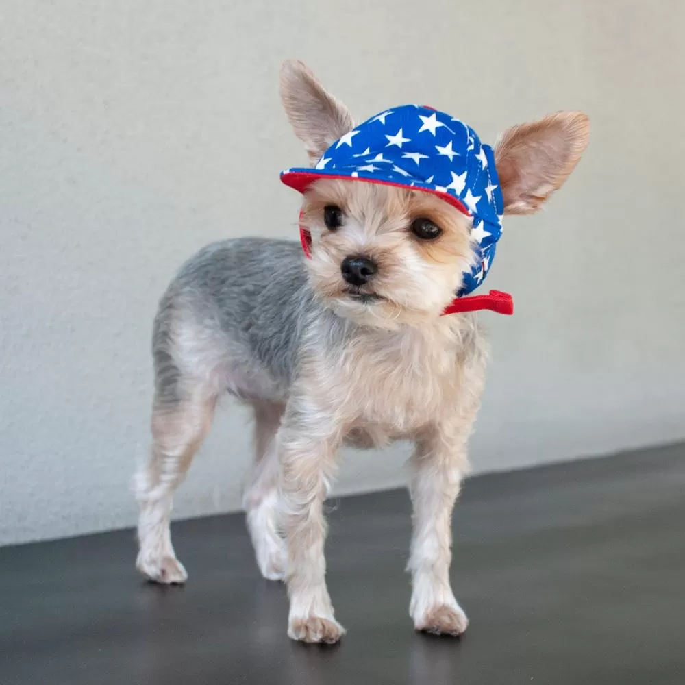 Stars American Dog Hat