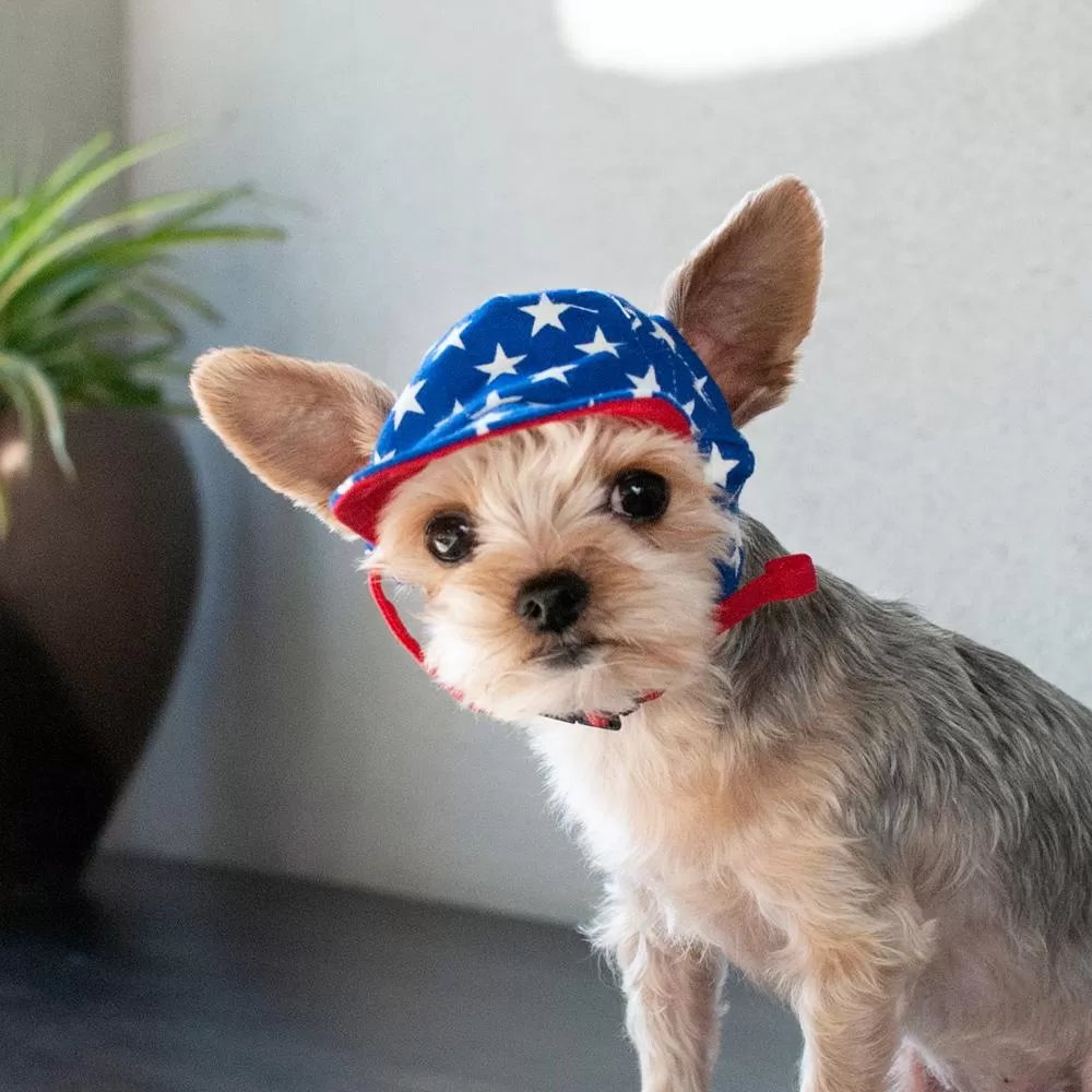 Stars American Dog Hat