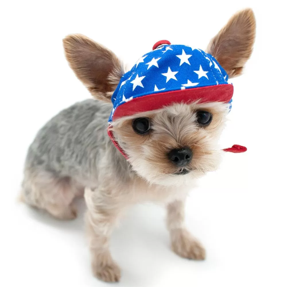 Stars American Dog Hat