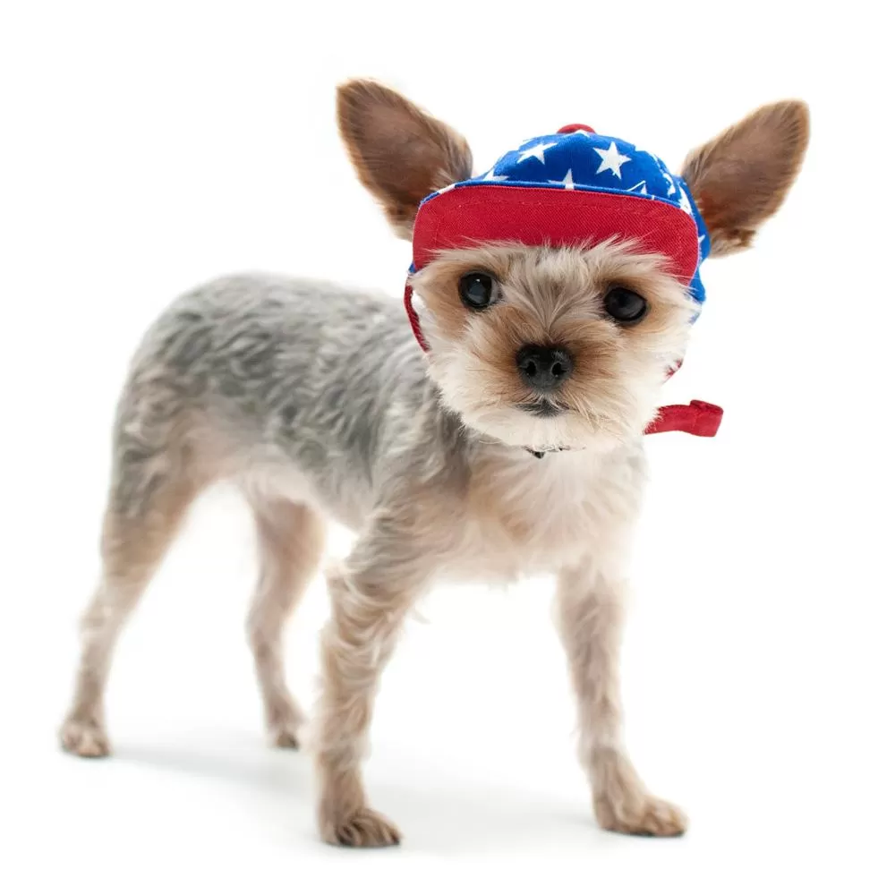 Stars American Dog Hat