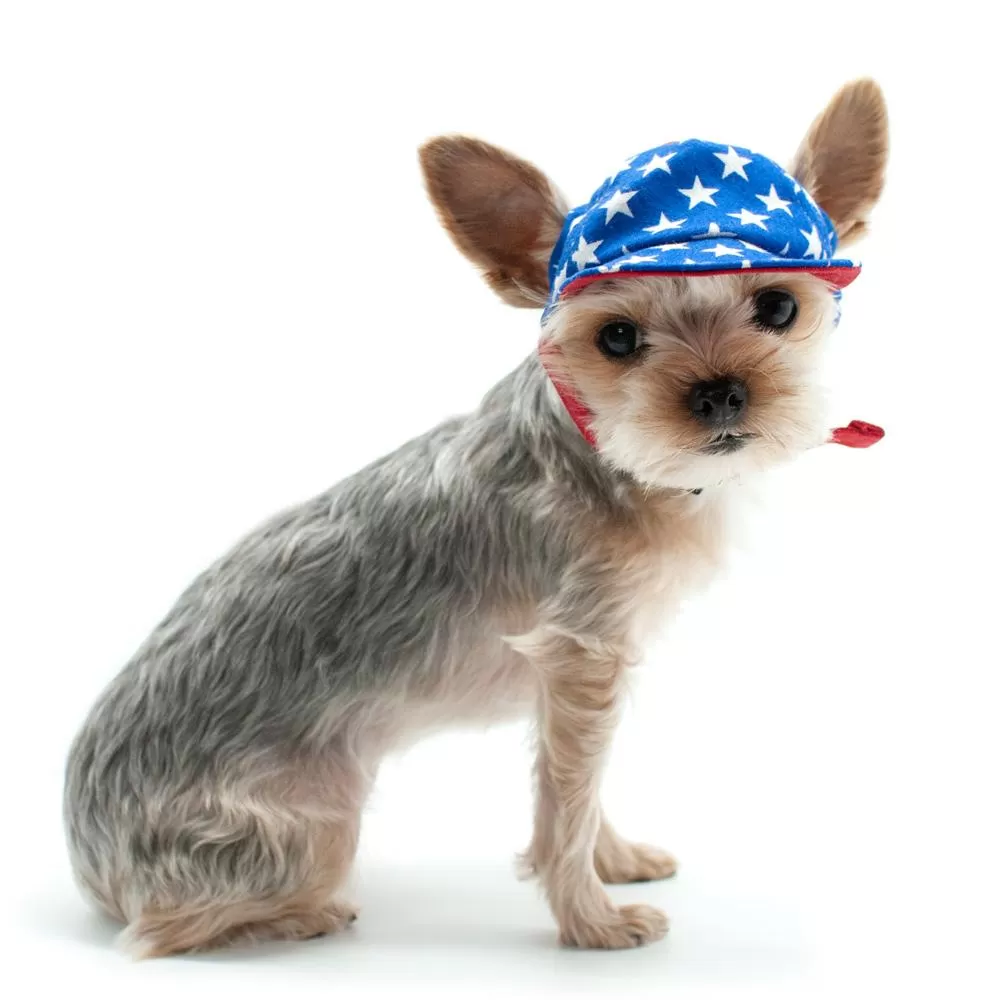 Stars American Dog Hat