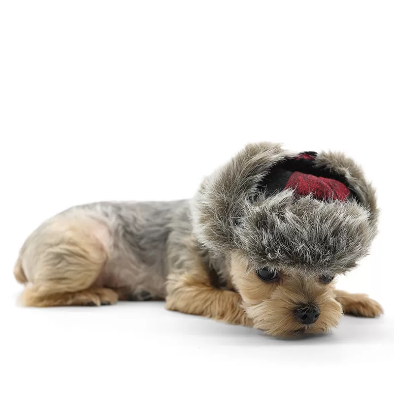 Trapper Dog Hat - Red Plaid