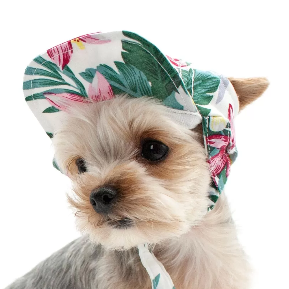 Tropical Island Dog Hat