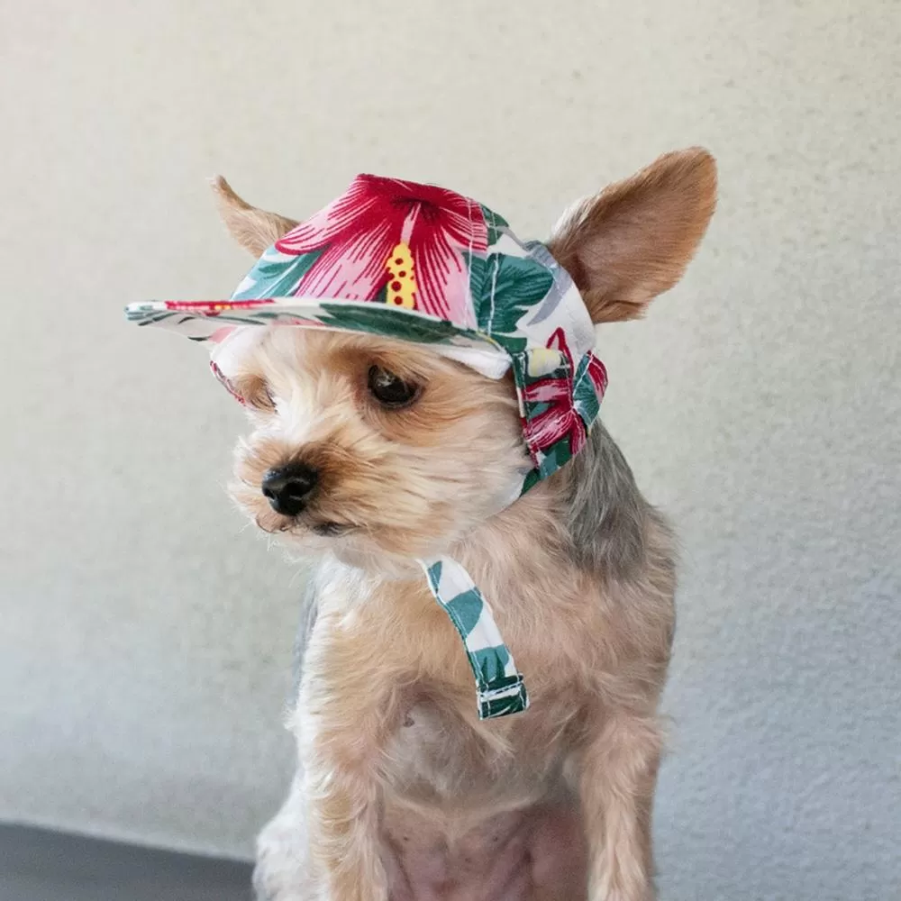 Tropical Island Dog Hat