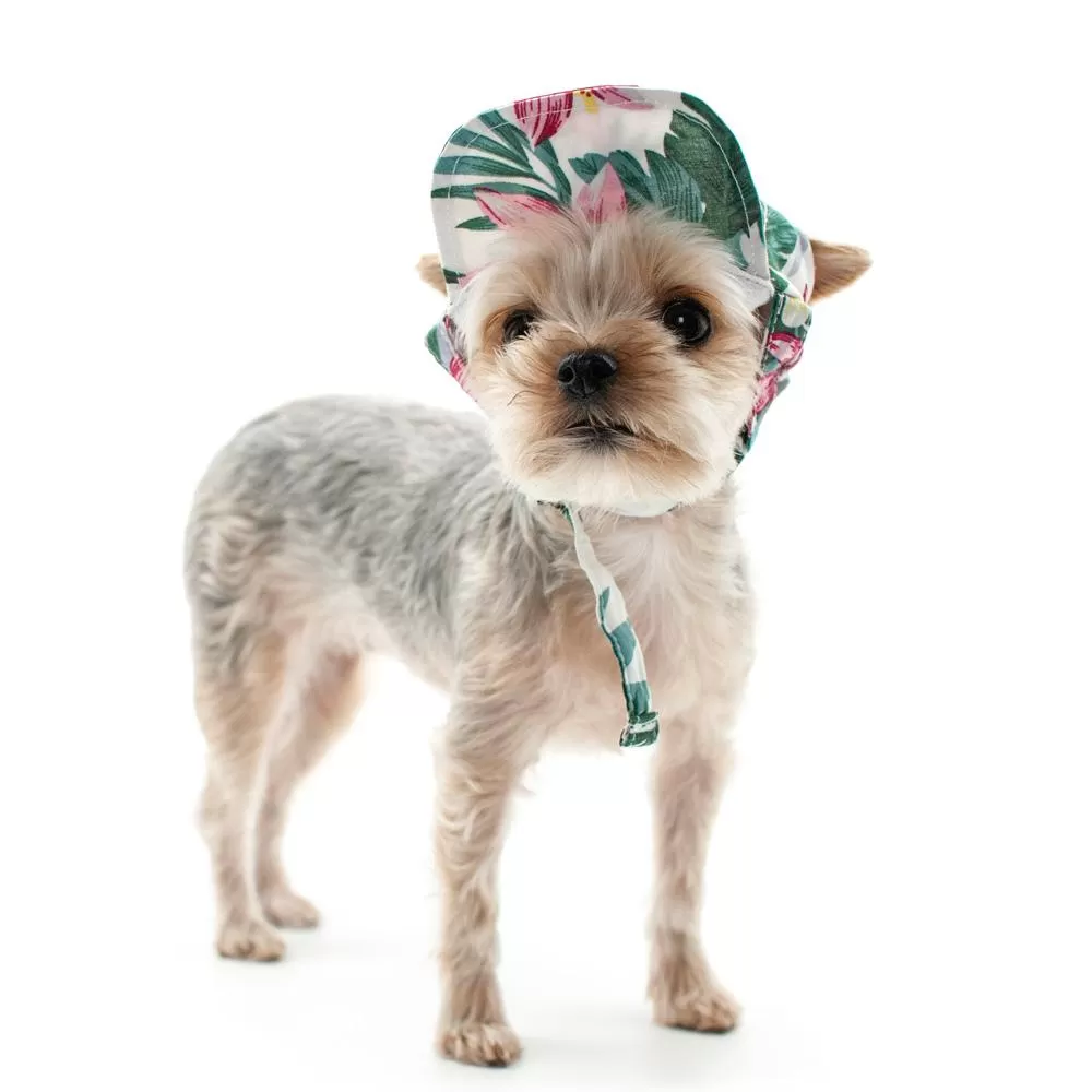 Tropical Island Dog Hat