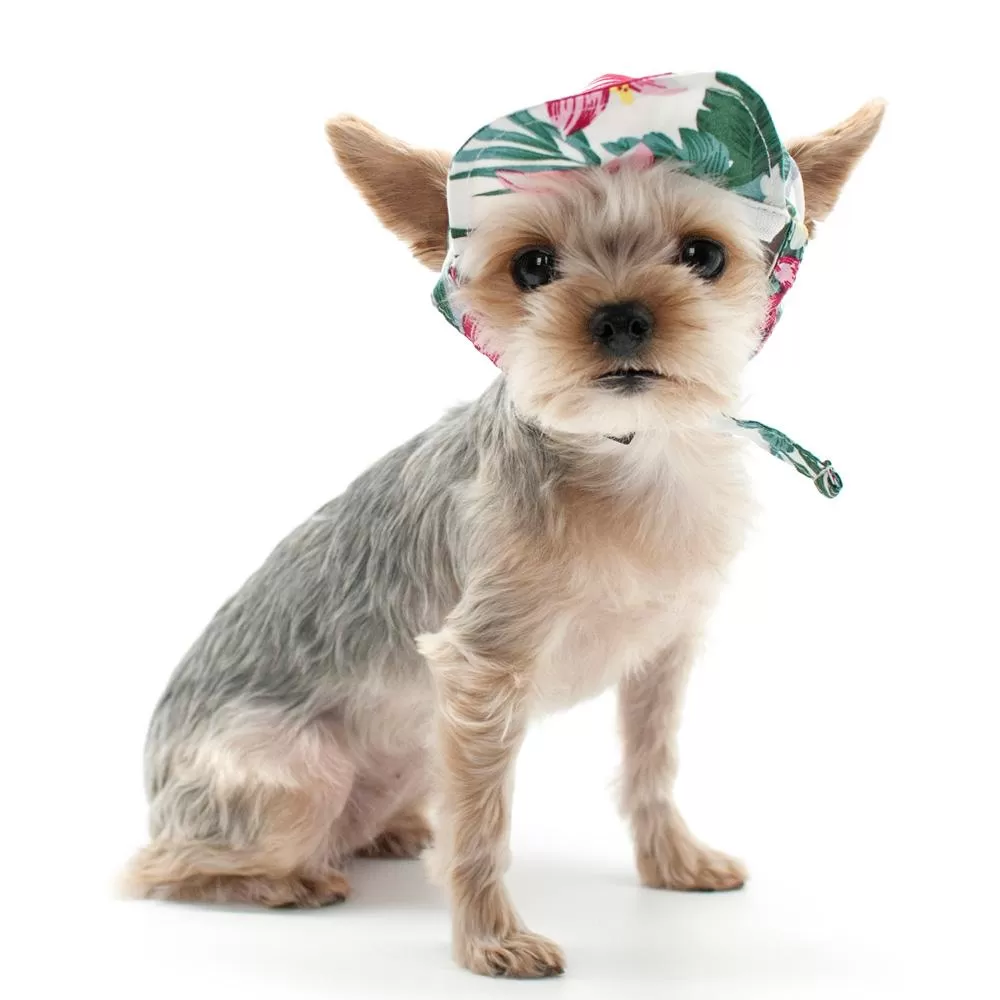 Tropical Island Dog Hat