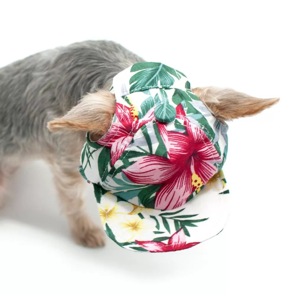 Tropical Island Dog Hat