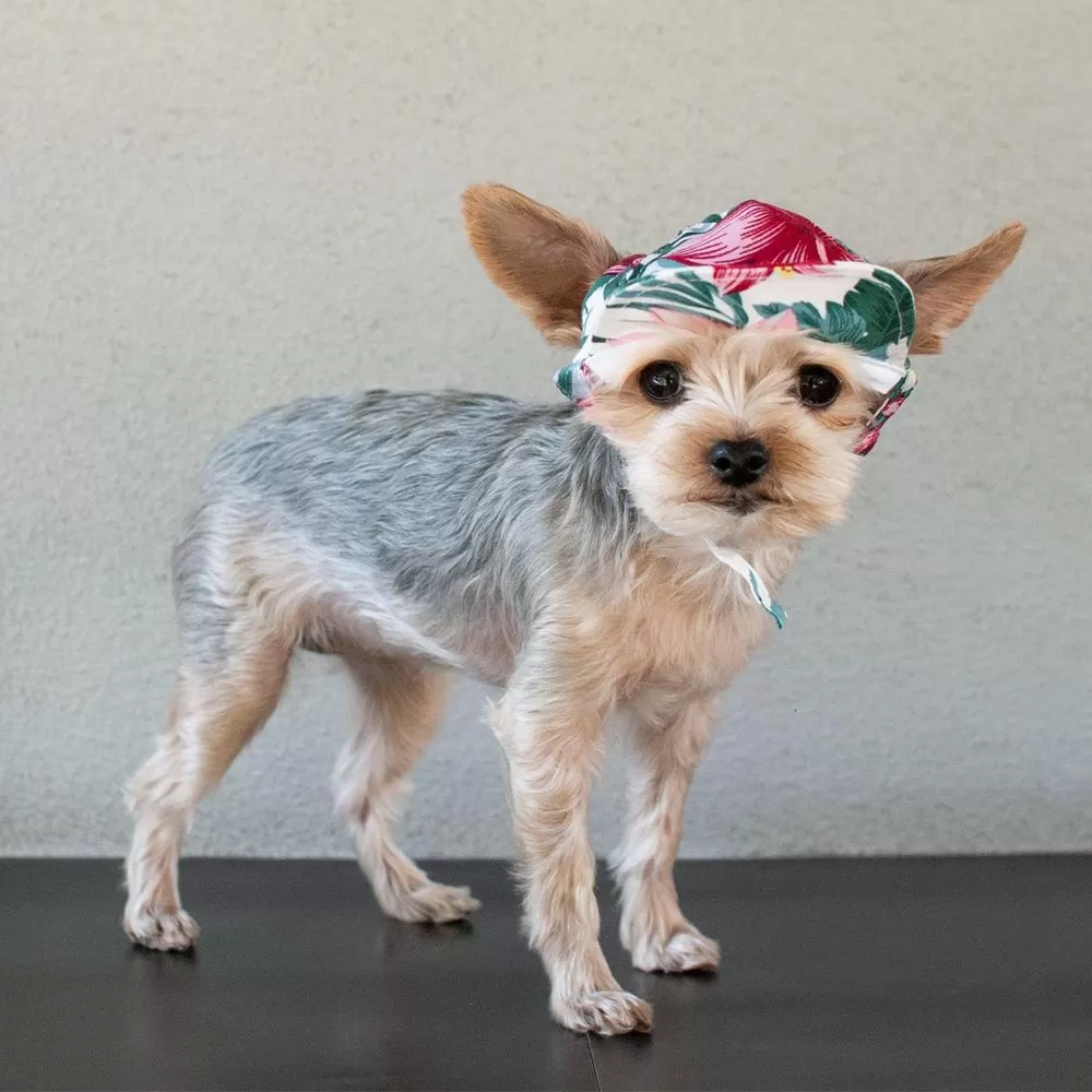 Tropical Island Dog Hat