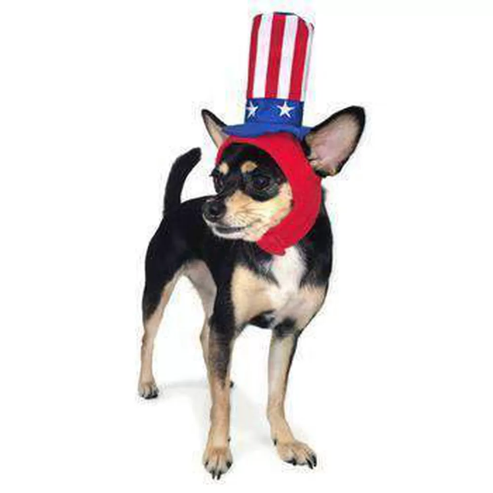 Uncle Sam Dog Hat