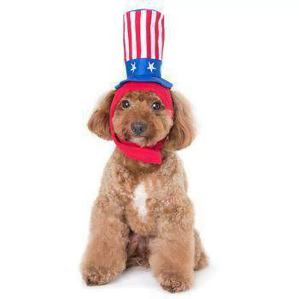 Uncle Sam Dog Hat