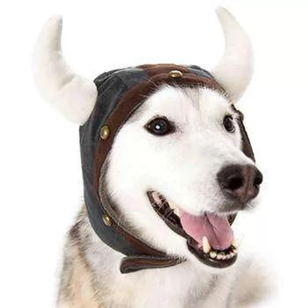 Viking Helmet Dog Hat