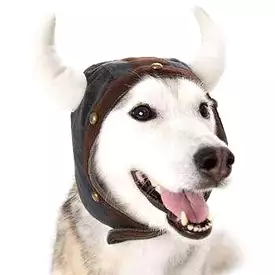 Viking Helmet Dog Hat